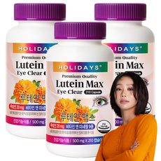 홀리데이즈 루테인 맥스, 210정, 3개