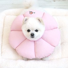 ParisDog 寵物甜睡頸圈, 1個