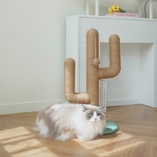 petoria 一層速成貓咪立式仙人掌麻繩小型塔, 混合顏色, 1個