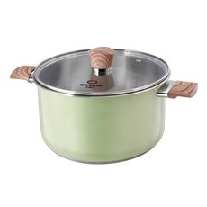 까사니 인덕션 셀바 곰솥냄비, 26cm, 혼합색상, 1개