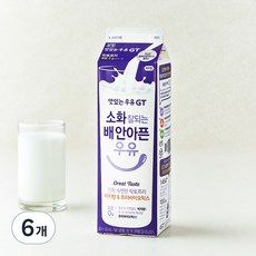 남양유업 맛있는우유GT 소화 잘되는 배 안아픈 저지방 & 프리바이오틱스 우유, 900ml, 6개
