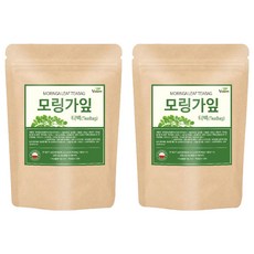 VOTEM 모링가잎 삼각 티백차, 1g, 100개입, 2개