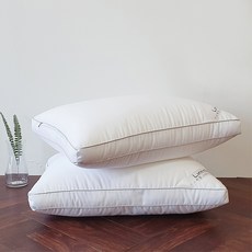 RAUM Huvis 雙滾邊 3D立體類羽絨枕芯 2入, 白色