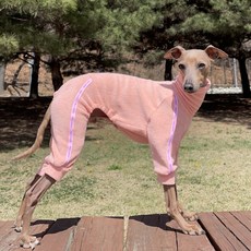 도기스타 이탈리안그레이하운드 타올지 올인원, 환타, 1개