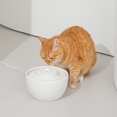 duit 寵物自動飲水機 B款, 白色的, 1個