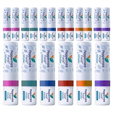 페퍼민트필드 야돔 인헤일러 6개, 3세트