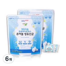 락토리움 프로바이오틱스 츄어블 생유산균, 60정, 6개