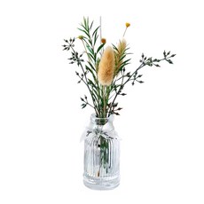 SC優選 植物精油 ins北歐乾燥花無火香薰擺飾 純真芷子花 50ml, 1瓶