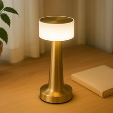 루아즈 인테리어 수유등 테이블 탁상 무드등 조명 램프, 골드