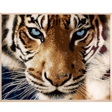 Artjoy Paints 雙 DIY 傑作繪畫 40 x 50 厘米, 藍眼老虎, 1個