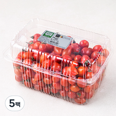 해맑은들녘 GAP 인증 미니 대추방울토마토, 2kg, 5팩