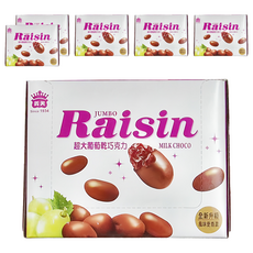 義美 超大葡萄乾巧克力, 500g, 6盒