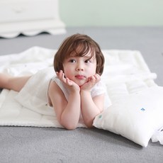 아리베베 인견 자수 낮잠이불세트 분리형, 아이스로켓