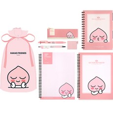 카카오프렌즈 모던st 미니플랫 열공 문구세트, 1세트, 어피치