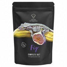 GECKO NUTRITION GN果泥 無花果口味 完整飲食 守宮適用, 1包, 100g