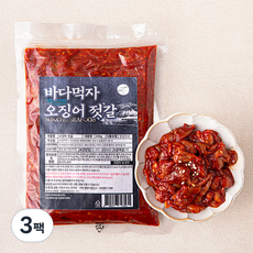 속초바다먹자 오징어 젓갈, 300g, 3팩