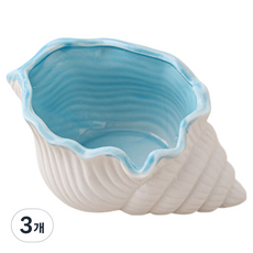 KODACHIEF 실내 보관 트레이 재떨이 소라 라지 15.5 x 10 x 7.2 cm, 혼합색상, 3개