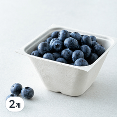 아주마 GAP 인증 산지직송 인디고 왕블루베리, 2개, 250g