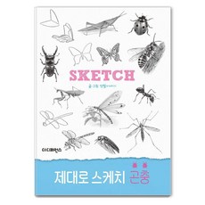[더디퍼런스]제대로 스케치 곤충 - 제대로 스케치, 더디퍼런스, 연필이야기