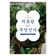 치유란 무엇인가:치유 사역 입문서, 치유하는별, 전요셉
