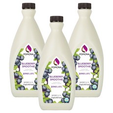 포모나 스무디 시럽 블루베리, 2kg, 3개