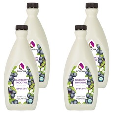 포모나 스무디 시럽 블루베리, 2kg, 4개