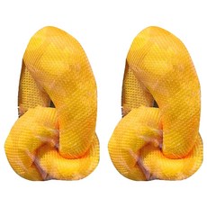 紓壓結 l, 1個, 2個, 粉黃色