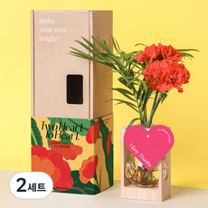 메이크정글 카네이션 테이블야자 + 감사카드 기프트세트, 혼합색상, 2세트