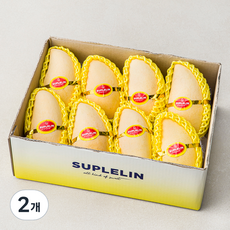 수플린 태국산 남독마이 망고 실속세트 8~9입, 2.7kg, 2개