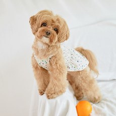 BENNYS 甜樹連身裙, 象牙白