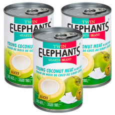 TWIN ELEPHANTS 雙象地球牌 嫩椰子肉片 (425g) 浸在糖漿中, 3罐
