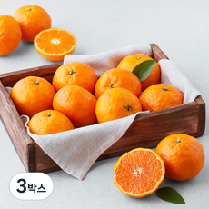 블랙홀 고당도 13.5brix 카라향 중과, 1.8kg(12~17입), 3박스