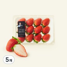 올프레쉬 GAP 인증 한단 금실딸기 대과, 330g, 5개