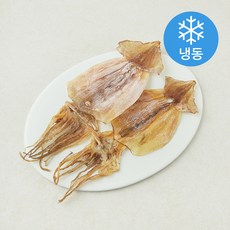 오션브라더스 고소한 건오징어 2~3미 (냉동), 1개, 100g