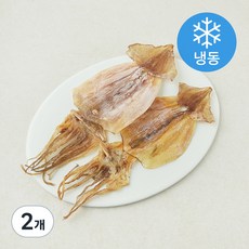 오션브라더스 고소한 건오징어 2~3미 (냉동), 2개, 100g