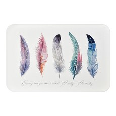 TROMSO 珪藻土吸水杯盤墊, 美夢羽毛, 1個