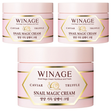 위네이지 스네일 매직 크림, 100ml, 3개