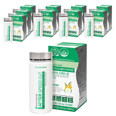 뉴트리디데이 다이어트 애프터 스피드컷, 28정, 10개