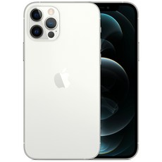 Apple 아이폰 12 Pro 자급제, 실버, MGMQ3KH/A