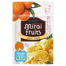 mirai fruits 未來果實水果乾, 橘子, 9個月以上, 10g, 1包