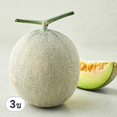 농협 유명산지 멜론, 3입, 1.5kg 이상