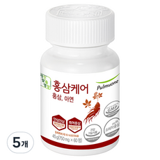 풀무원건강생활 홍삼케어 건강환, 5개, 45g