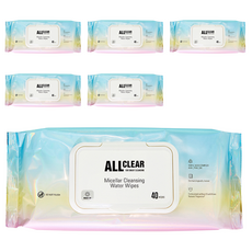 THE FACE SHOP 菲詩小舖 深層潔淨卸妝濕巾, 40入, 6個