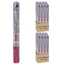 Pentel 飛龍文具 油漆筆 MMP10 中號永久記號筆, 1色, 2盒