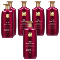 리엔 자윤 윤기강화 컨디셔너, 950ml, 6개