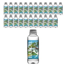 바이칼 430M 워터, 450ml, 24개