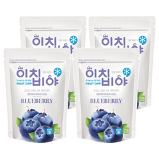 Ichibiya 水果乾 藍莓, 15g, 4包