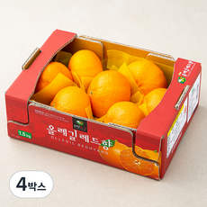 올레길 AI 당도선별 13.5brix 고당도 레드향, 1.5kg(중과,5~7입), 4박스