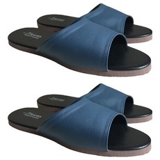 TAIWAN SLIPPER 台灣犀利趴 簡約系列 純色皮質室內拖鞋 防滑鞋底 軟質發泡 台灣製造, L, 細紋藍, 2雙