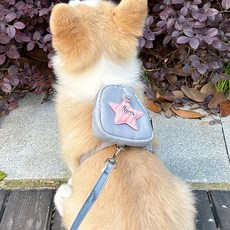 꼼펫 狗狗貓咪胸背帶散步繩星星包胸背帶 + 牽繩套組, 灰色(M), 1套